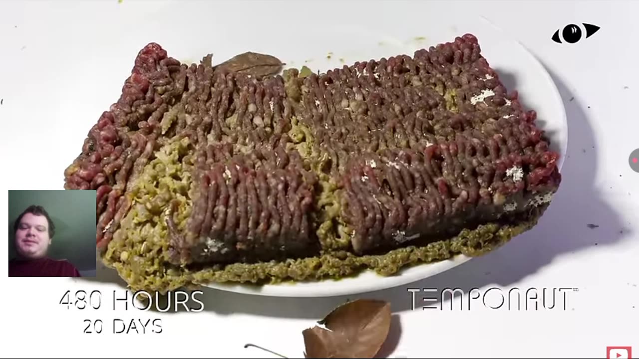 Reacting To Minced Meat Time-Lapse