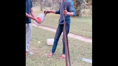Indian brave child