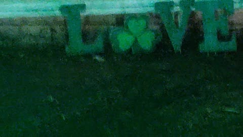 Happy Saint Patrick's Day!