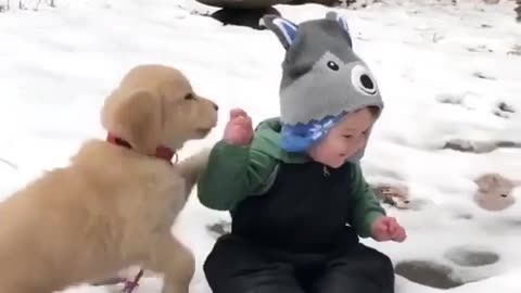 funny animals