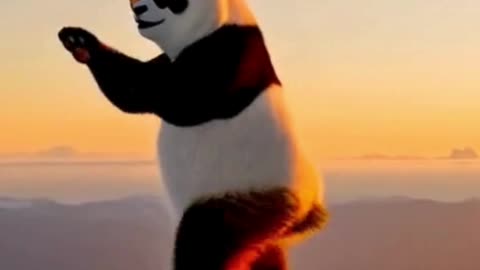 Fluffy panda in sunglasses dances on snowy peak at sunrise—smooth leftward tracking shot