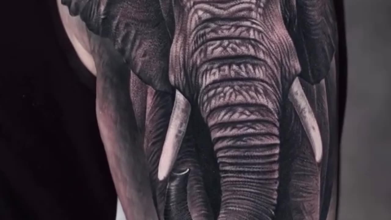 MAJESTIC ELEPHANT IN REALISM - Jose Contreras in TEXAS!