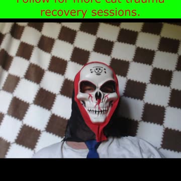 My Cat Commits War Crimes Daily