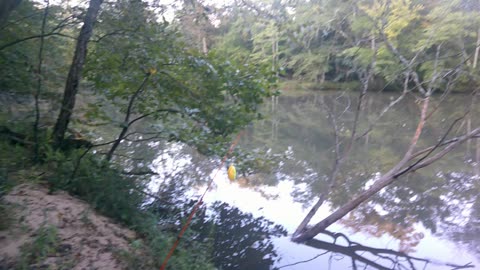 True early morning Sunrise at the River