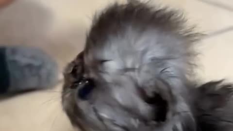 ❤❤❤