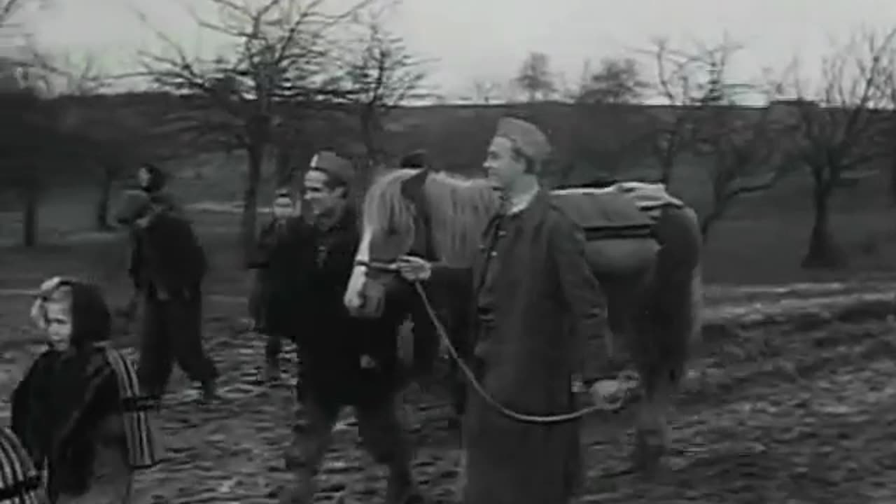 Trzy opowieści (1953)