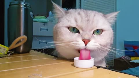 You know, very few people say that I'm not cute.