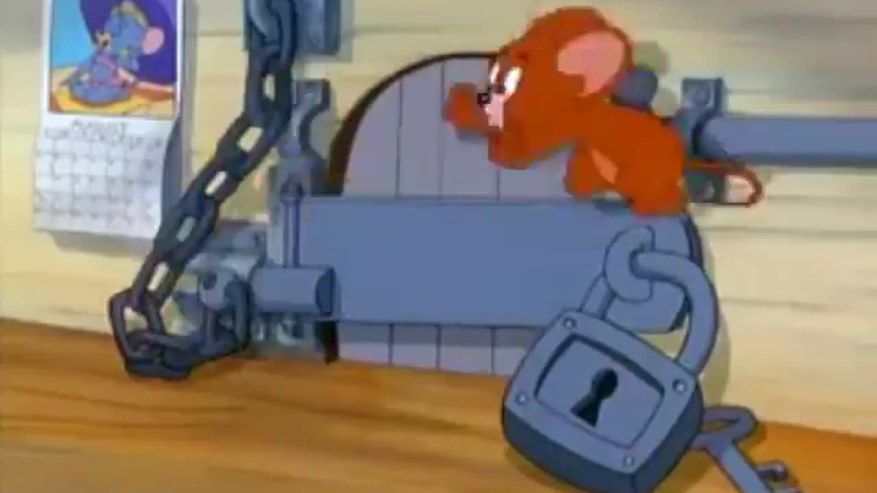 Tom and Jerry cartoons