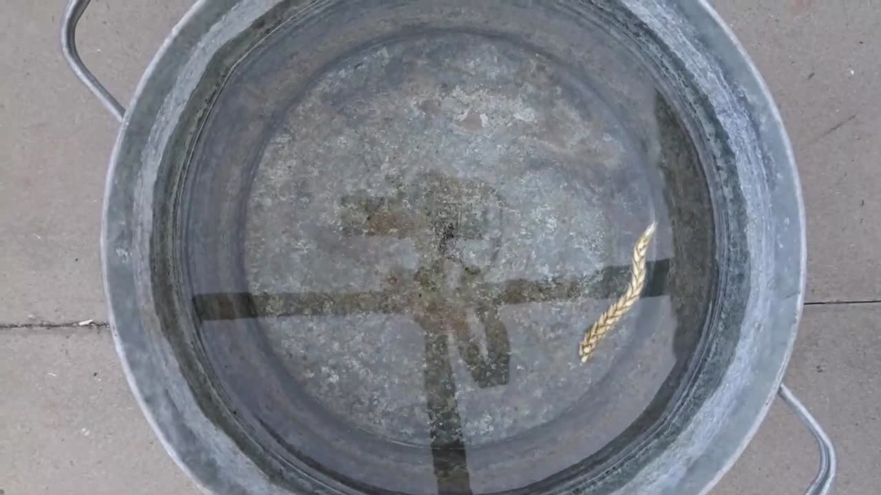 snake swimming robot MARK of the Beast