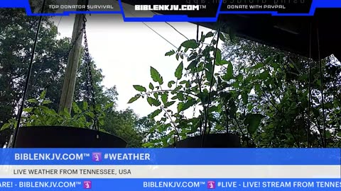 BIBLENKJV.COM™ 🛐 07/16/2025 #LIVE #WEATHER #KNOXVILLE