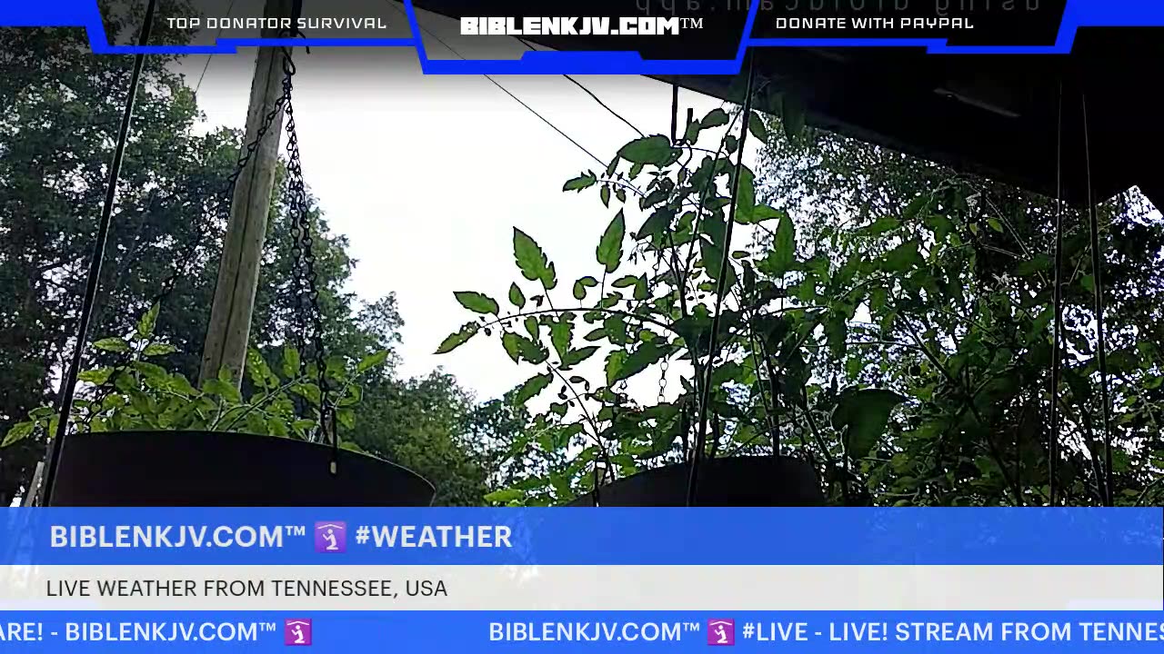 BIBLENKJV.COM™ 🛐 07/16/2025 #LIVE #WEATHER #KNOXVILLE