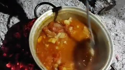 ashpazi dar tabiat dar shab