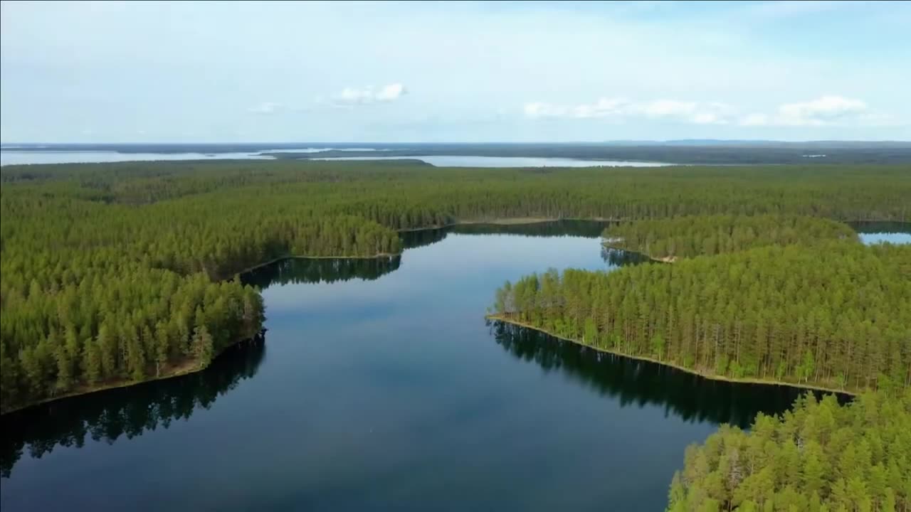 Nature's Embrace: Pure Peace & Greenery #samar