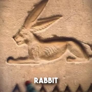 🐇 THE EGYPTIAN RABBIT — EXPLORING THE VOID WITHIN
