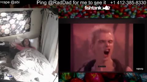 Raddad elimination baiting