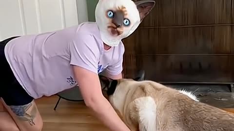 What Happens When a Man Dresses Like His Pet?