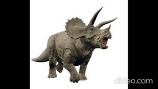 jurassic-t-rex_6TNdTQ9v.mp4