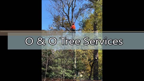 O & O Tree Services