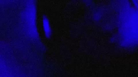 Pareidolia Promo #2
