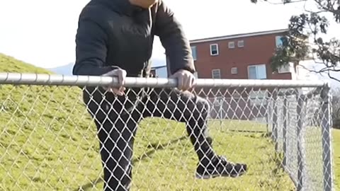 How different animals get over a fence
