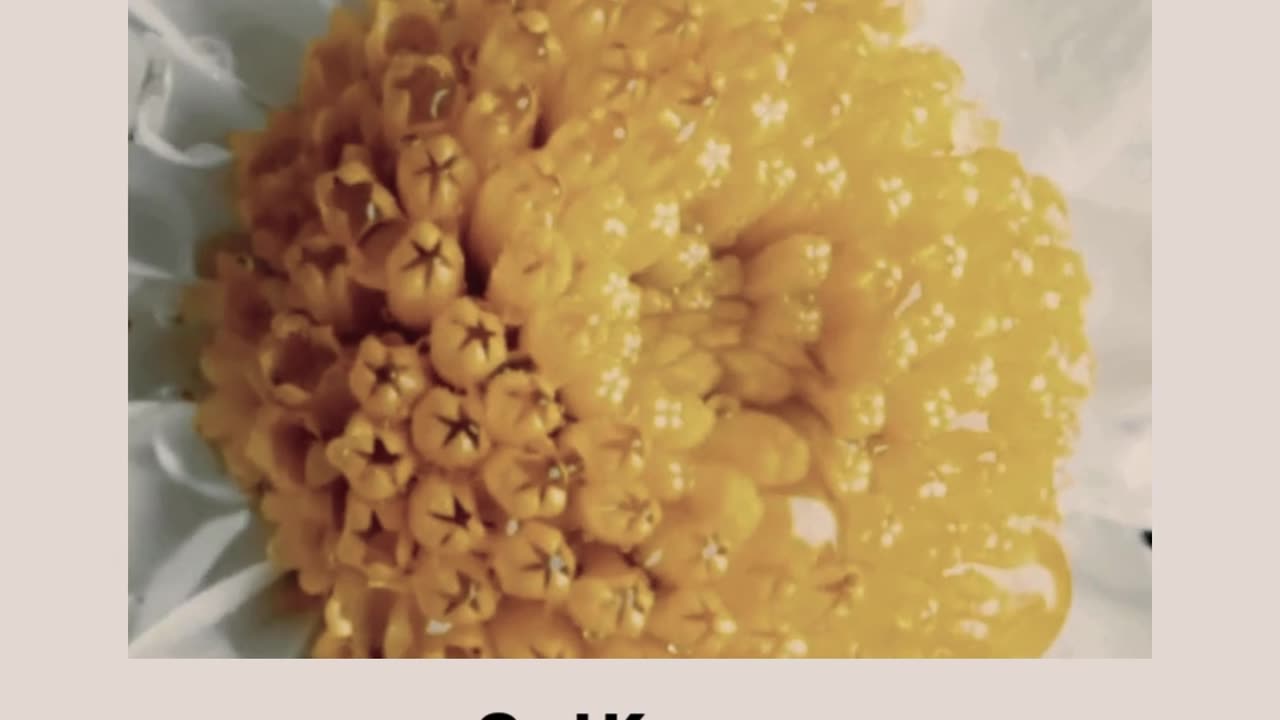 10 Ways God knows the outcome already