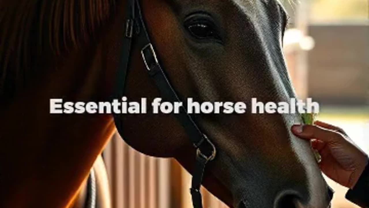 How to Use Eqvalan Gold Dewormer for Horses | Step-by-Step Guide