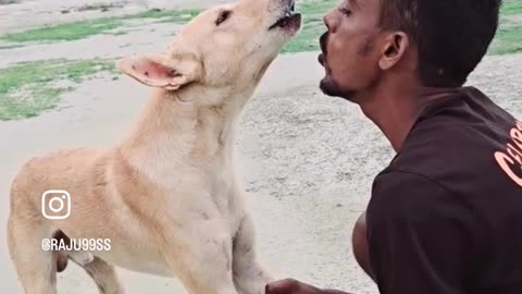 Funny video