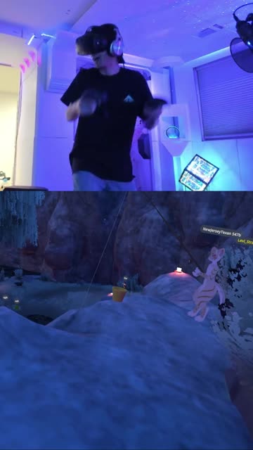 VRCHAT Me and Bro be like