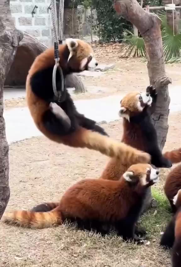 Pre-workout warmup 💪