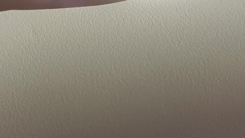 Psychic Attack 🦎 what it feels like 😔