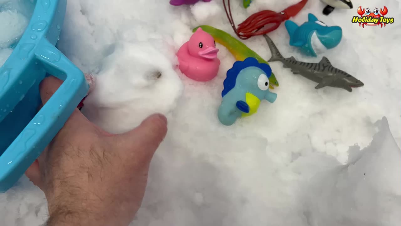 Looking for Pink Ducks in Some Snowballs in a Big Bucket