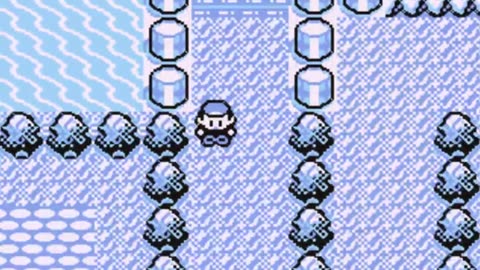 Pokémon Blue - Walkthrough/Videonávod 11 [EN/CZ]