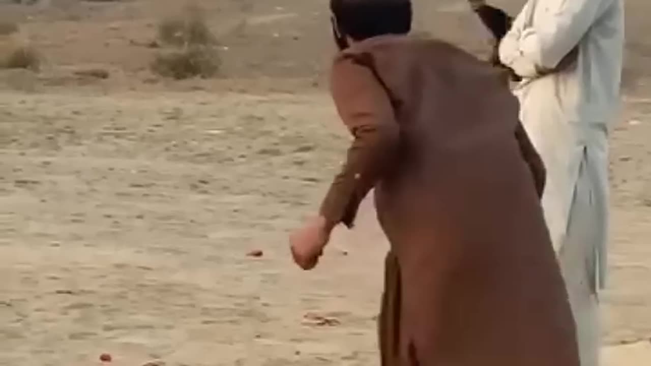 Try Not Laugh/Funny cricket
