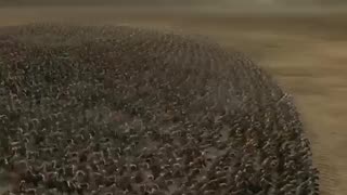 WE ARE AT WAR AGAINST PUR EVIL AND THEIR MUPPETS