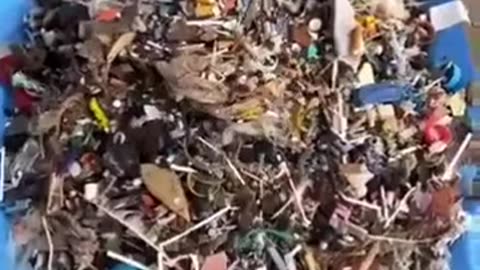 Beach Cleanup