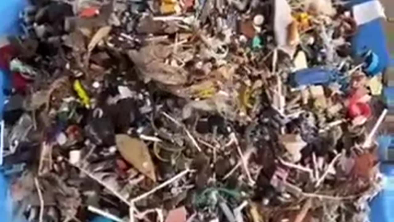Beach Cleanup