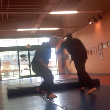 Tong Hap Kwan Hoshinsul/Chontu Musul