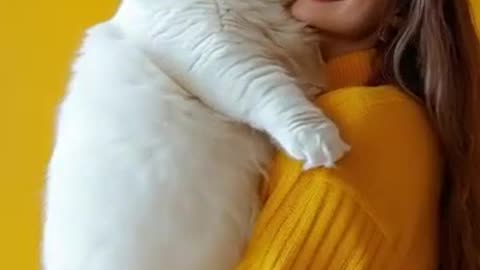 My Cat Is BIGGER Than Yours — You Have to See This GIANT Kitty!