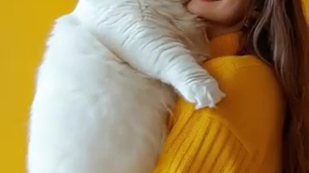 My Cat Is BIGGER Than Yours — You Have to See This GIANT Kitty!