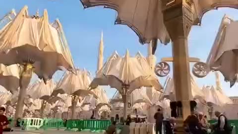 SAUDI ARABIA when the DESERT SUN gets too HOT🔥 these Enormous UMBRELLAS🌂 Bloom-out like an ELOQUENT FLOWER"