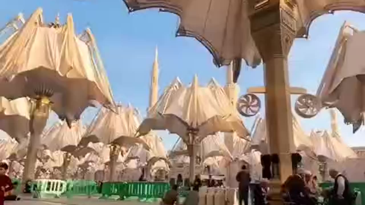 SAUDI ARABIA when the DESERT SUN gets too HOT🔥 these Enormous UMBRELLAS🌂 Bloom-out like an ELOQUENT FLOWER"