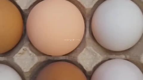 How the Amish preserve eggs for a long period of time.