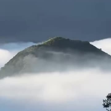 Jean Suriel información