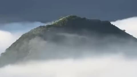 Jean Suriel información