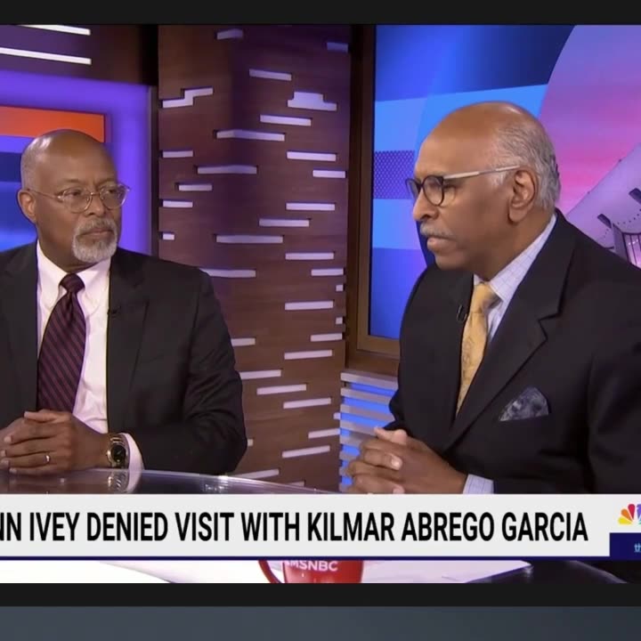 Steele: How Is Garcia Case Different From Putin Journalist Grabs Or Rogue Grabs Of Americans In ME?