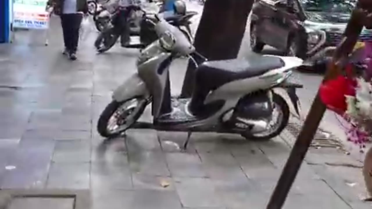 fatty demon pig - 2025 - YT - March 27th part 002 - HANOI