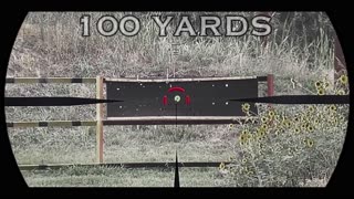 Vortex Venom 1-6 Budget LPVO