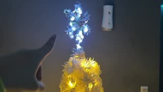 3FT Flocked Christmas Tree Review 2025