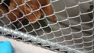 VID_20251205_172224025