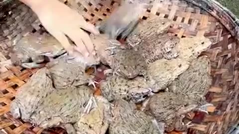 Special food cook recipe and eat